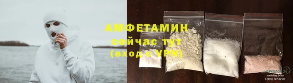 сатива Алзамай