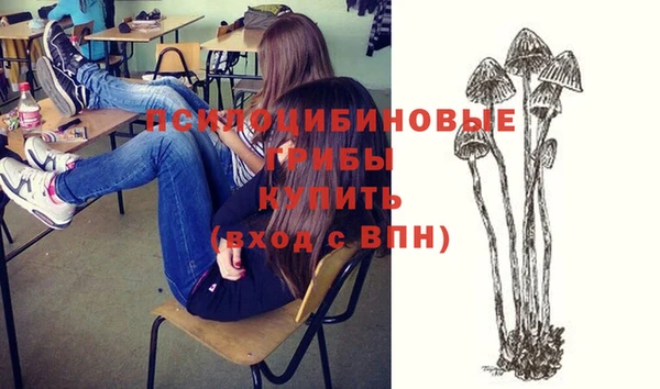 сатива Алзамай