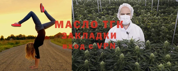 сатива Алзамай