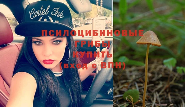 сатива Алзамай