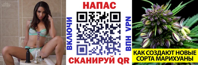 закладки  Андреаполь  Бошки марихуана THC 21% 